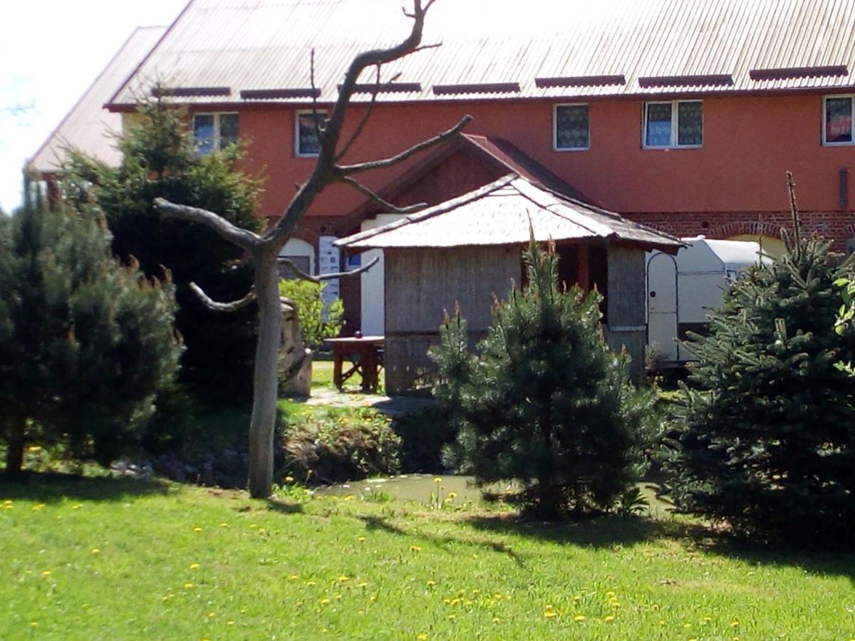 Agroturystyka Andrzejowka Czerniki Exterior photo