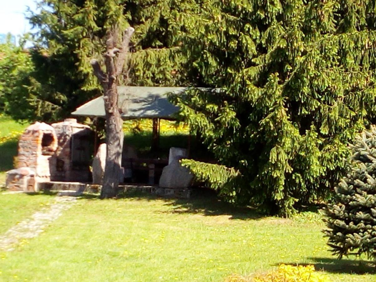 Agroturystyka Andrzejowka Czerniki Exterior photo